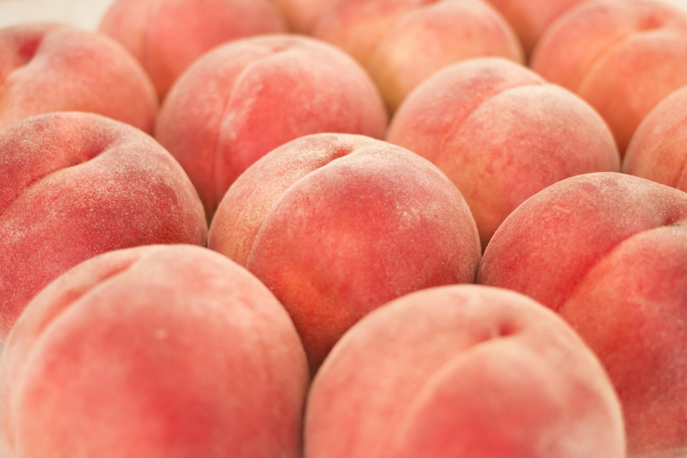 🍑 桃の楽園・笛吹市へようこそ 🍑 山梨県笛吹市では、今まさに桃が旬のピークを迎えています‼️甘くてジューシーな桃が実る果樹園が、まるで桃の楽園のよう‼️ この三連休は、ぜひ笛吹市へ‼️桃狩り体験や直売所での購入、桃を使ったスイーツも盛りだくさん✨ ご家族