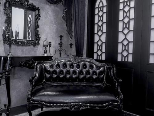 都内撮影スタジオGallery-O5 Le Royal天井高5ｍ、巨大シャンデリアが美しいゴージャスな撮影スタジオ「Le Royal」✨鳥かご照明や ゴシックなソファが配置されたロフト部分のスペースからはメインの宮殿エリアを一望することができます📸http:gallery-o5.jp料金：12,500円