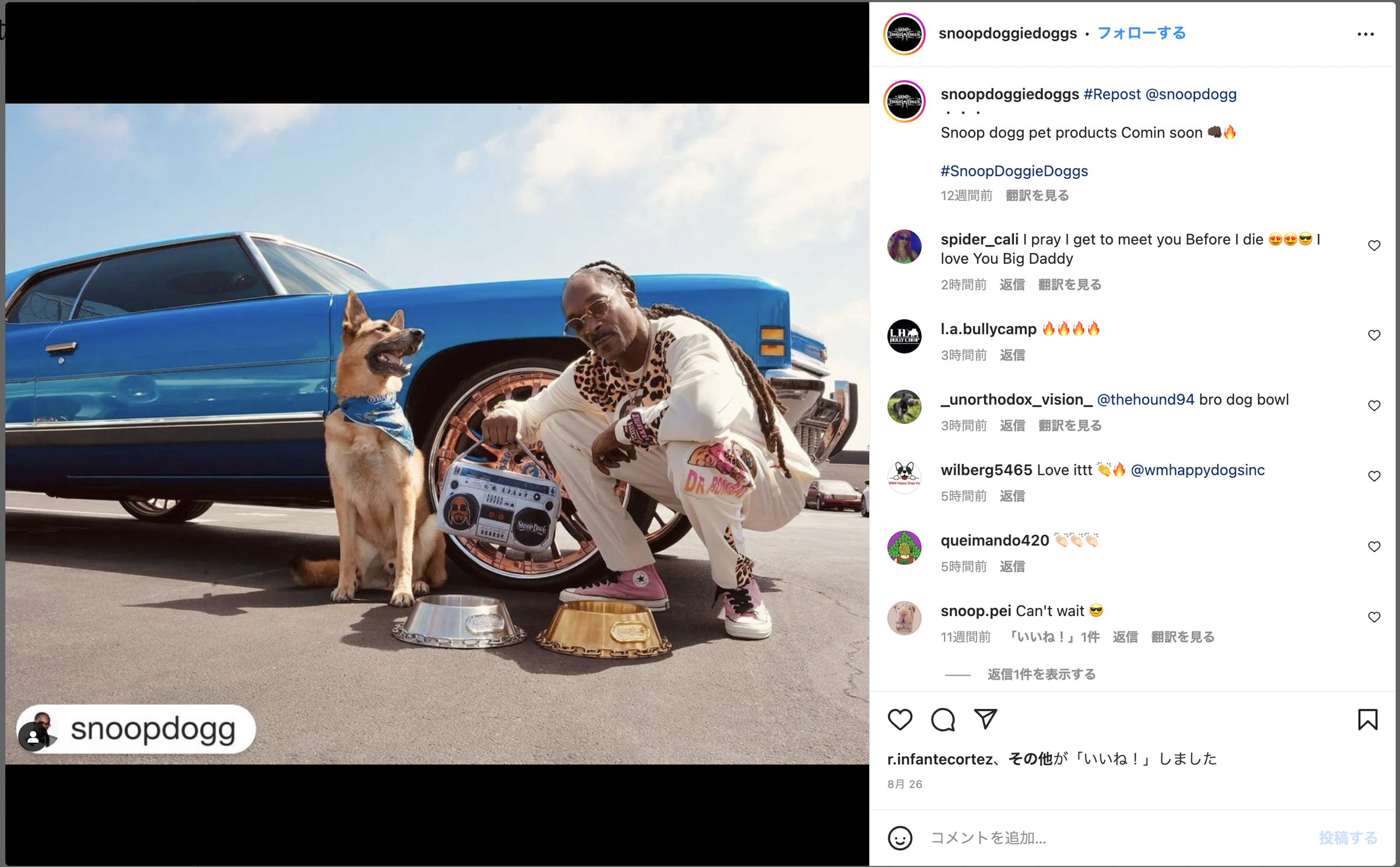 値下げ】Snoop Dogg×SSS World Corp プリントスウェットパンツ