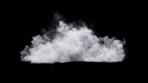 色塗りできるハナミズキ 黒×白ふち のイラストぬれよん-ぬれるフリーイラスト