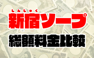 東京都の激安ソープランキング｜駅ちか！人気ランキング