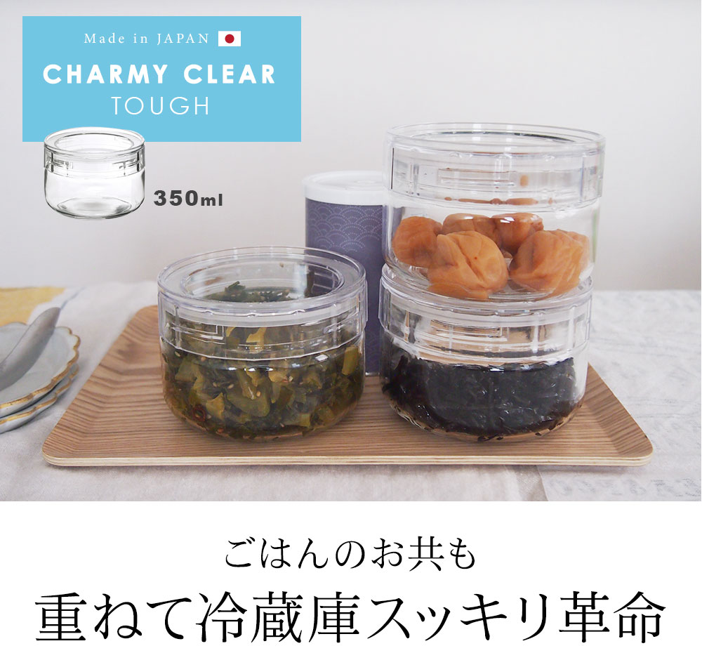 個人投資家様向け会社説明会資料