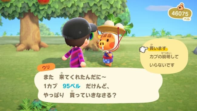 あつ森 2025年版 カブ価の変動パターンと稼ぐ4つのポイント動画解説あり あつまれどうぶつの森- アルテマ