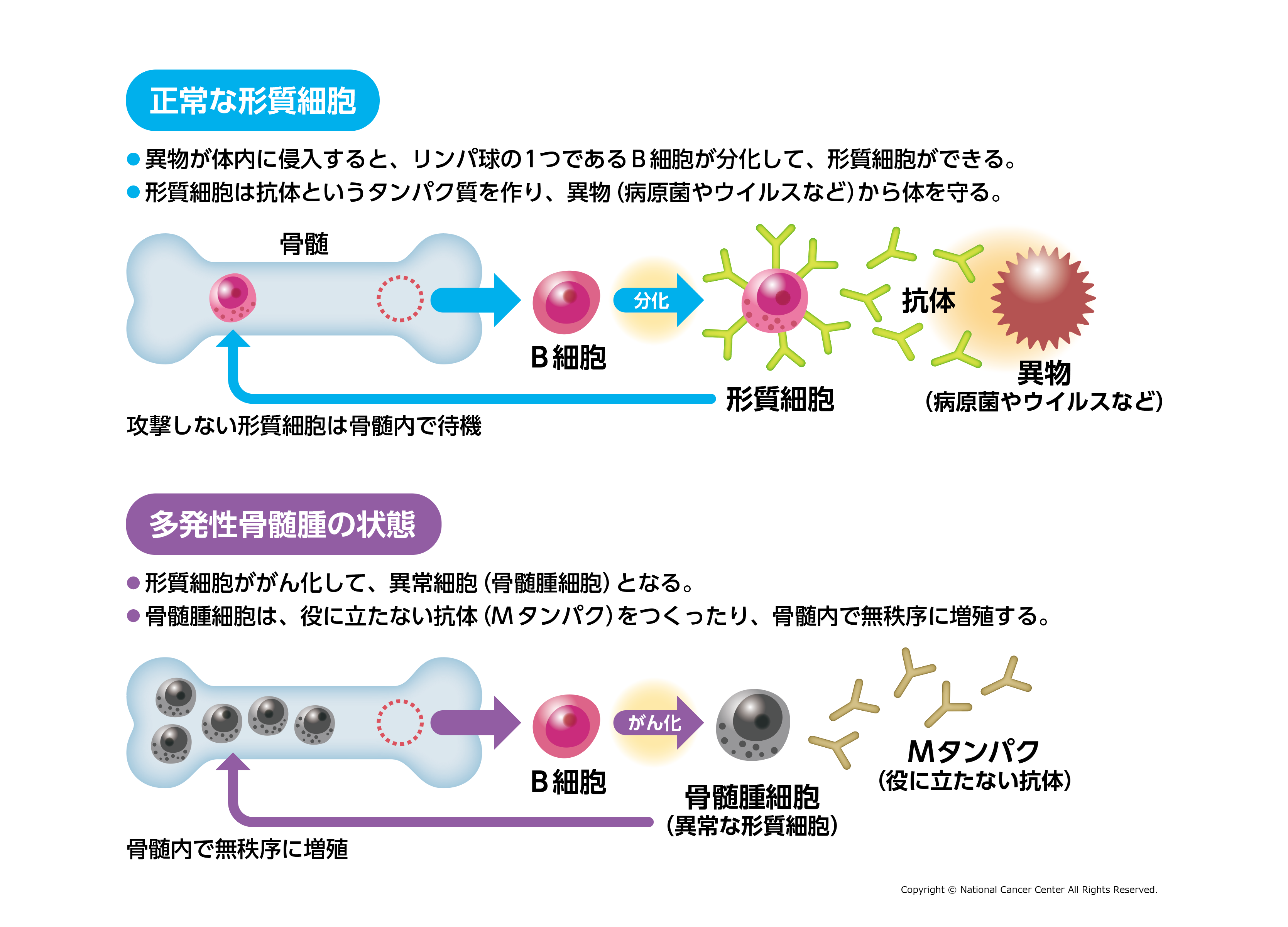 非日常を追求し続ける女性用風俗【東京M性感】