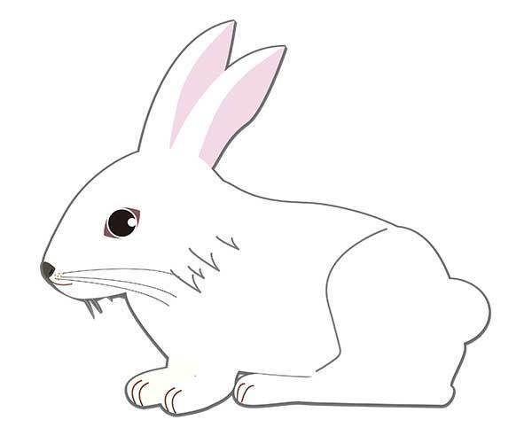 透過 花」の47万点のロイヤリティフリー画像、写真素材、絵Shutterstock