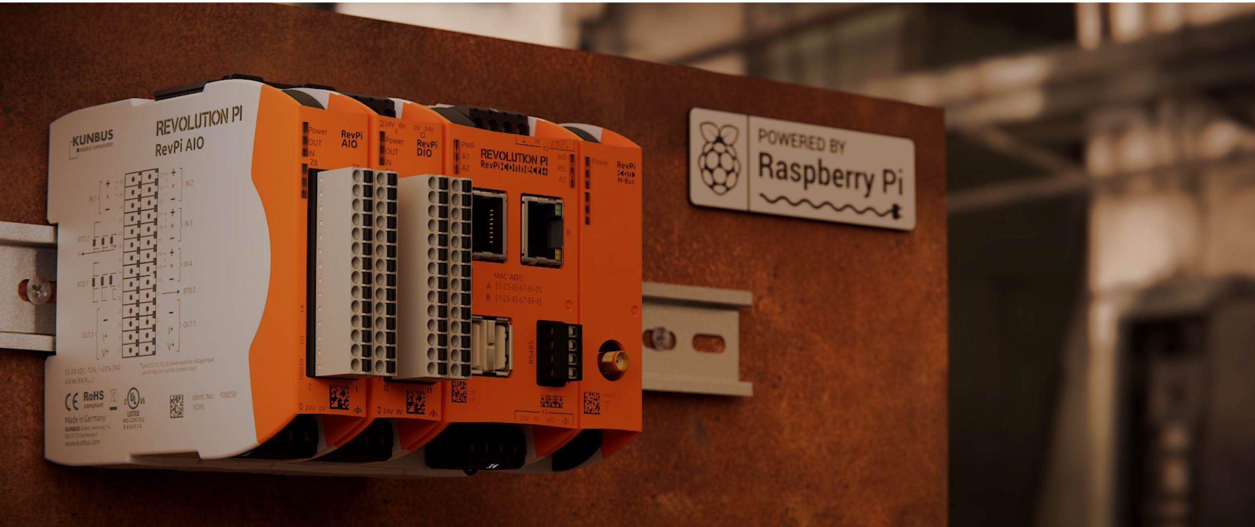 PICと楽しむRaspberry Pi 活用ガイドブック総合Bit Trade One, LTD