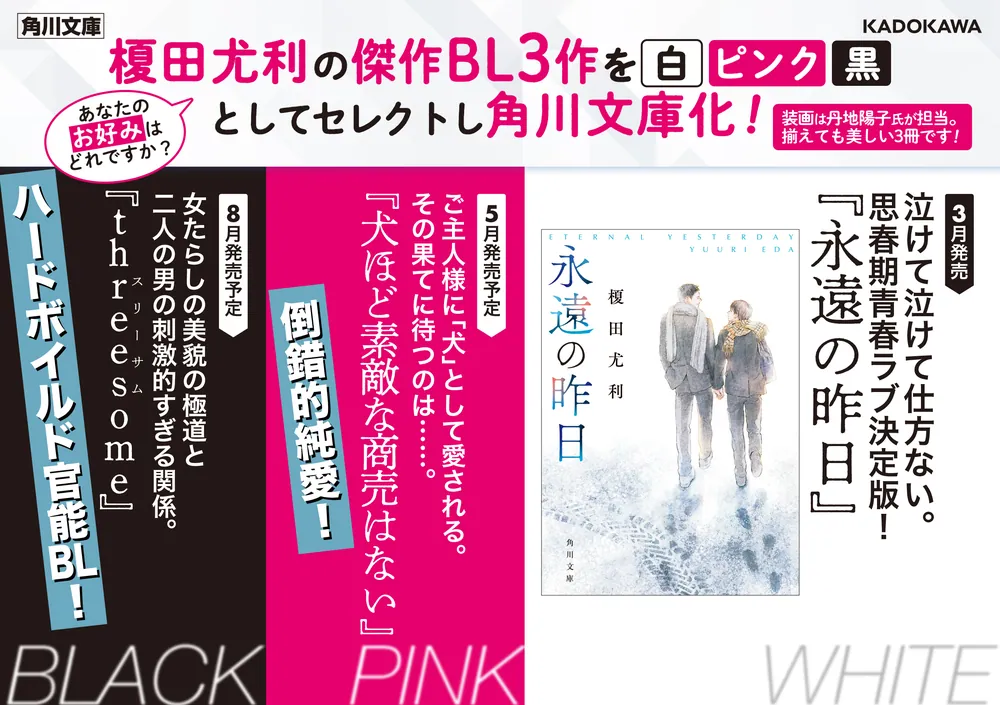凸凹で読みとくパリ 水に翻弄されてきた街の舞台裏』学芸出版社