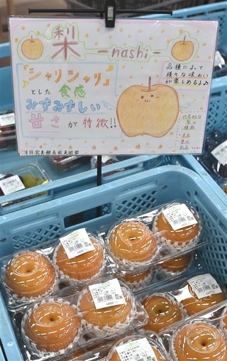 POP広告資格 お店の広告や値札づくりに役立つ資格5選日本インストラクター技術協会 JIA