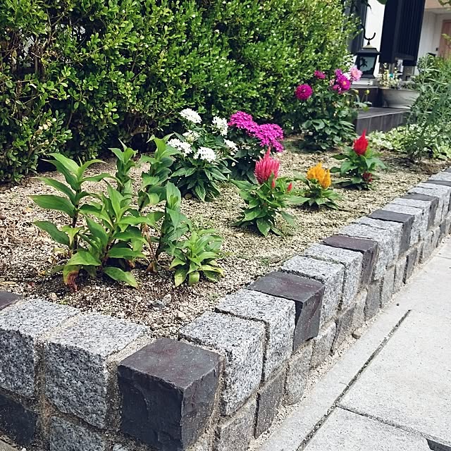 ピンコロ石で花壇を作る～初めての庭作り～