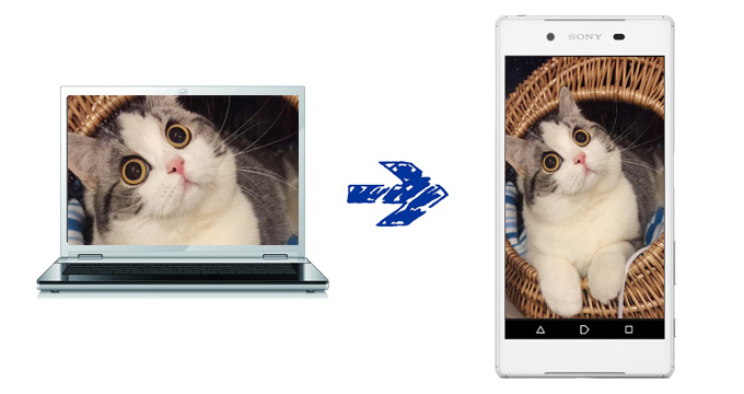 パソコン使わずスマホの写真や動画をUSBメモリに保存するやり法cosmo