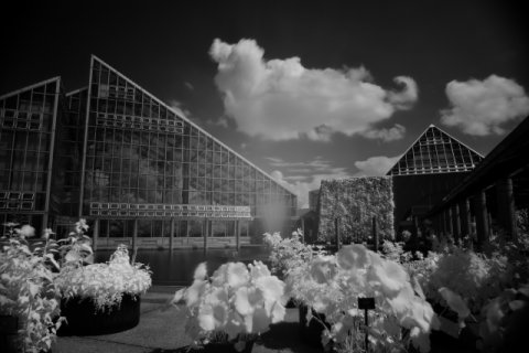 人間の目に見えないものを写す 赤外線写真の魅力！撮る為に必要なものから撮り方までのスタートアップガイド。XICO Inc株式会社ヒーコ