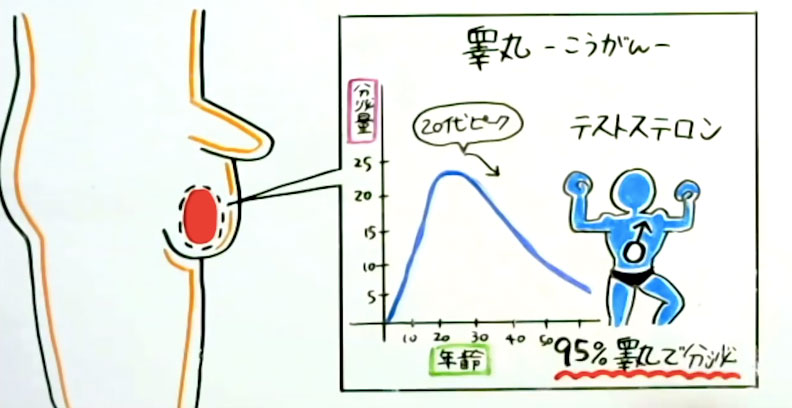 睾丸マッサージ・オナニーの素晴らしさを教えてやる - Togetter