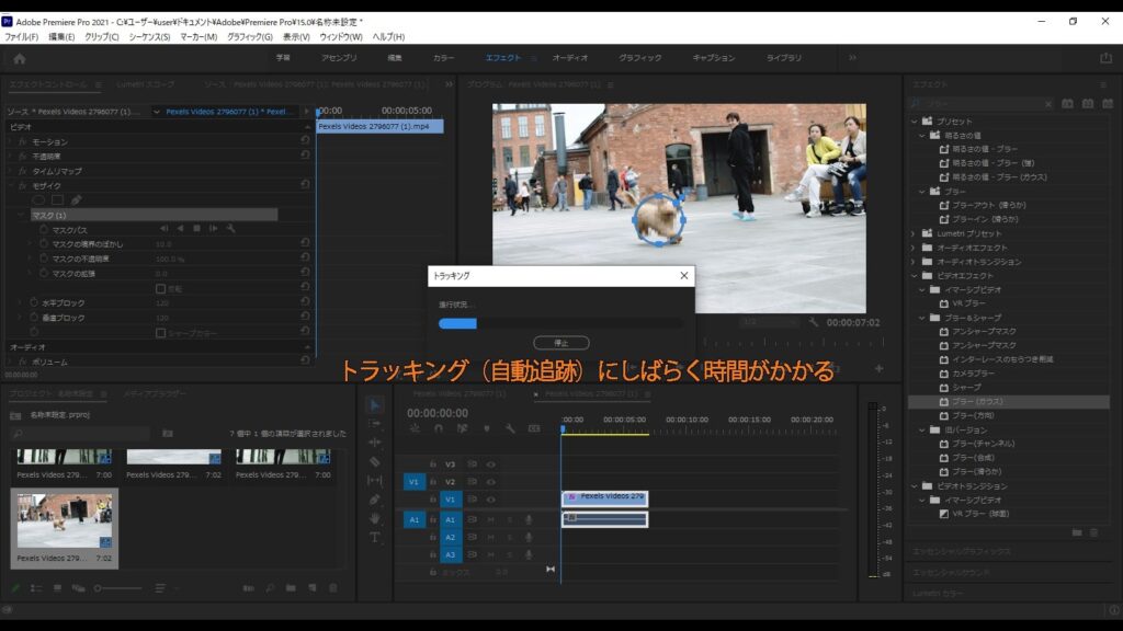 プレミアプロのモザイク方法・動画の自動追従のやり方