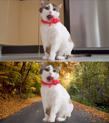 CapCut 人物以外でも切り抜きできるか試してみた スマホアプリでのやり方撮りタイ