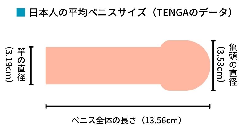 ゴムのサイズわからない人！コンドームのサイズ・大きさ・直径・測り方を紹介 | コンドーム大百科