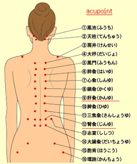 自宅でも「簡単ツボ押し」 精力減退に効くツボ編