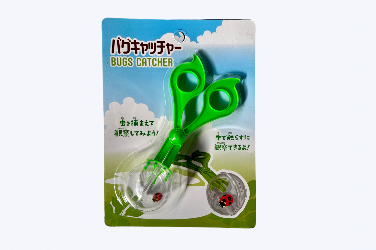 虫好きな子に教えたい、100均なのに優秀！昆虫採取・観察グッズ10選 まめねこ- エキスパート - Yahoo!ニュース