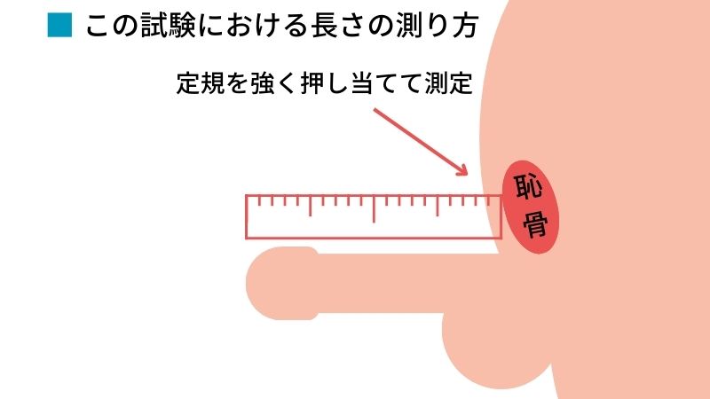 日本人のペニスサイズ調査～長さと太さの相関性 | 男性生殖器マニア