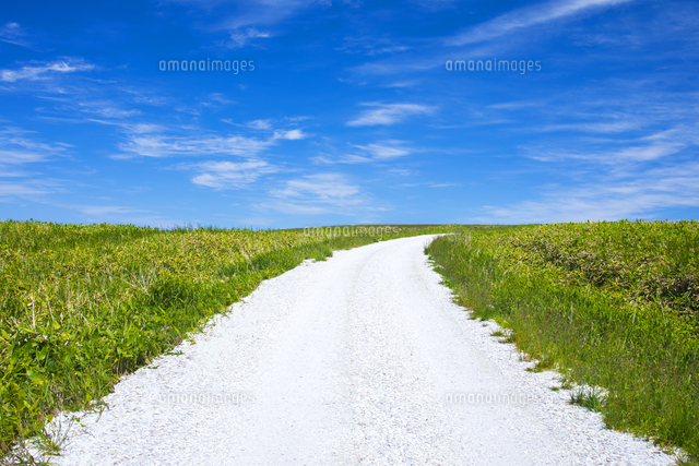 フリー素材 田舎道 4枚背景イラストみんちりえ