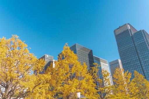 オレンジ・果物イラスト素材イラスト無料・かわいいテンプレート