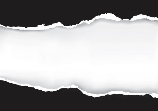 京都大学図書館「初心者のための簡易補修～よくある破損、こう直そう」3. 破れた箇所を和紙で補修