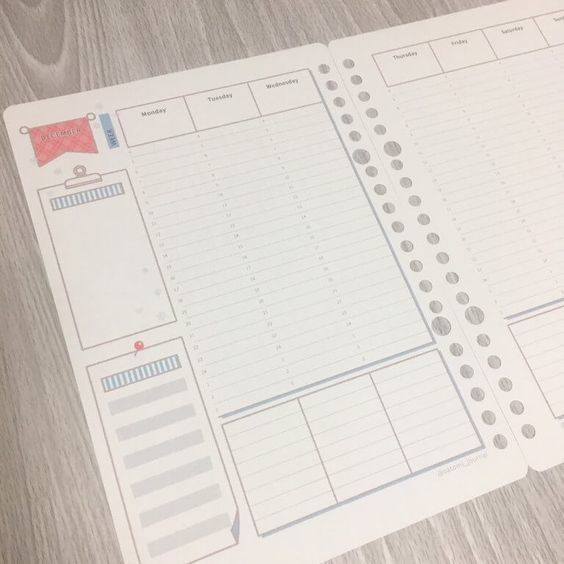 セリアの『バインダー』に驚き！ 『amifa カスタムノート』がかわいすぎる – grapeグレイプ