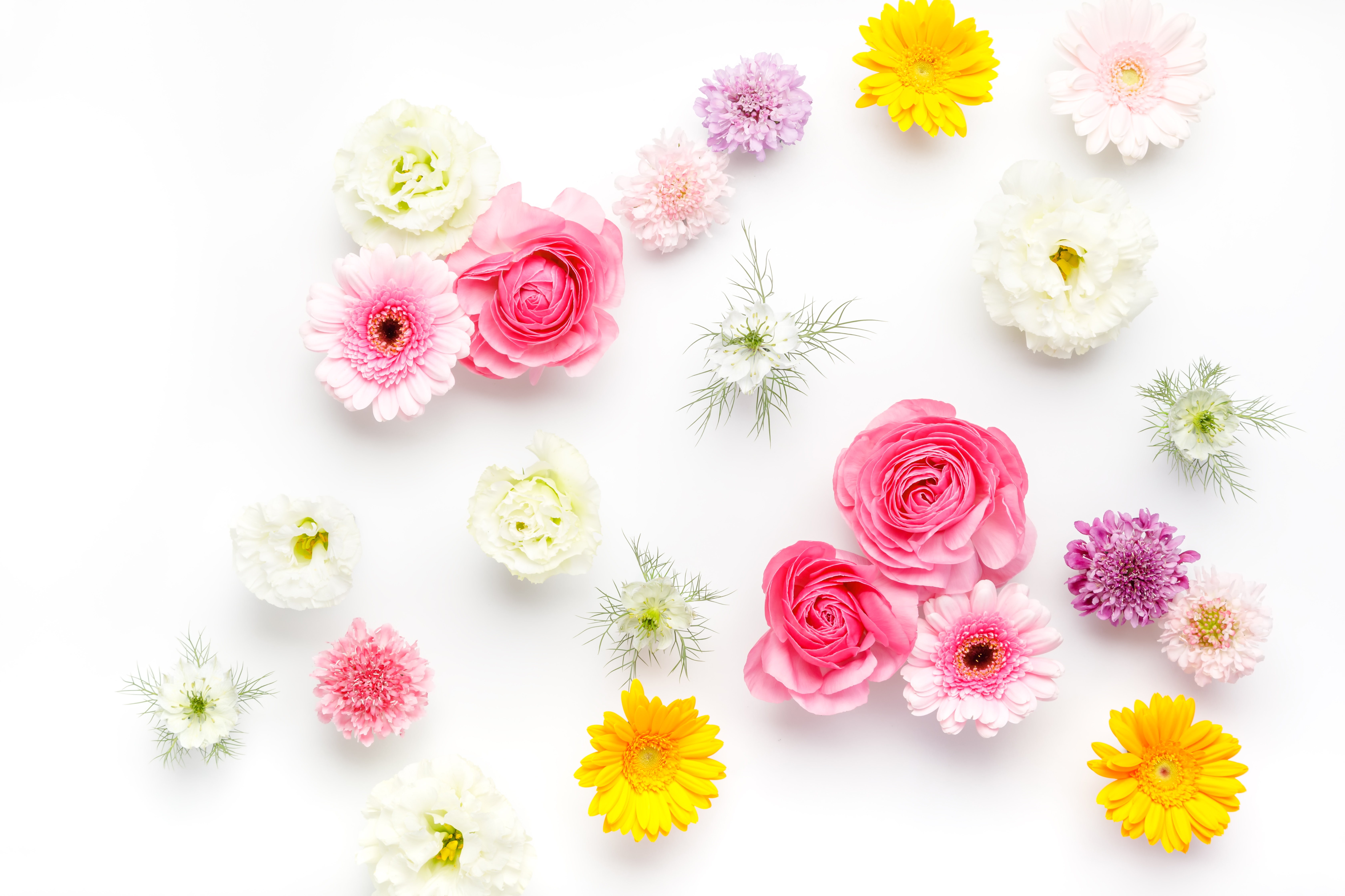 無料素材ダウンロード-イラスト素材・挿絵作成ソフト ３Ｄイラストデザイナ