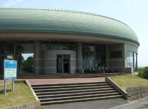 夏といえば海♪茨城の海水浴場特集 | いばナビ