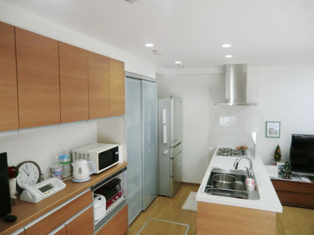 LIXIL リクシルINAX カラクリキャビネット 左仕様 クリエラスク TSF-304L LL その他ガーデニング