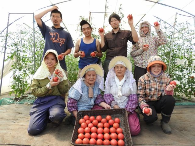 谷口農場 まっかなトマト |