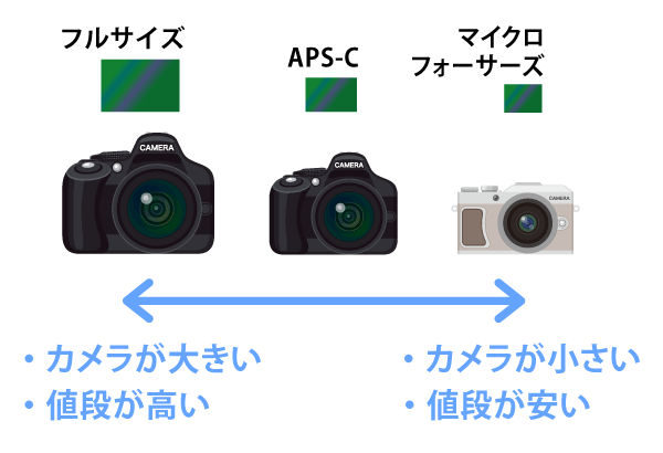 1分でわかる！ カメラのセンサーサイズによる違いフルサイズとAPS-Cどっちが良い？ランク王