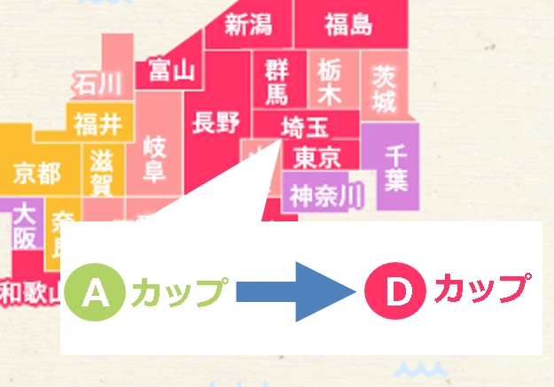 巨乳都道府県ランキング！驚きの結果を徹底解説 | ぴゅあらばSHOPマガジン