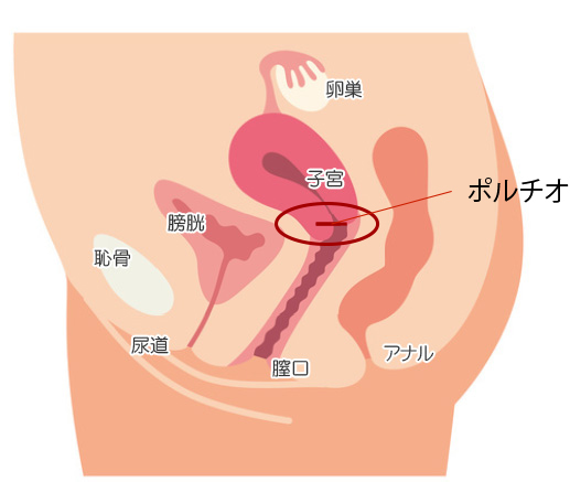 相葉たつや 𝕏 アングラ界の性教育講師 on