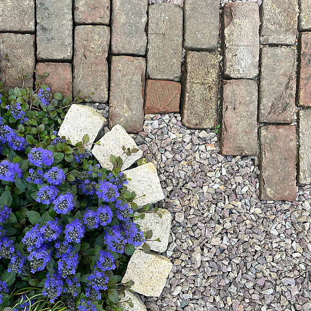 ピンコロ石 カインズホーム カインズ 花壇ＤＩＹ 花壇 などのインテリア実例 - 2017-07-28 15:04:51RoomClip ルームクリップ