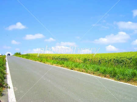 道・道路のフリー写真素材一覧無料・商用利用可 フォトック