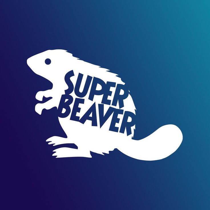 SUPER BEAVER スクエアロゴタオルYahoo!フリマ 旧PayPayフリマ
