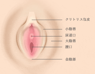 クリトリスの皮を上手に剥く方法！ズルムケまんこは少数派だから要注意