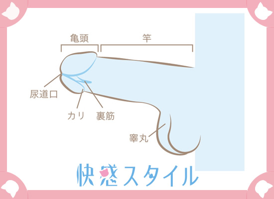 最大効率】乳首開発を加速させるたった1つの方法｜はじめてのチクニーを赤裸々に語る。 | ぱいなび｜チクニー・セフレ活動まとめサイト