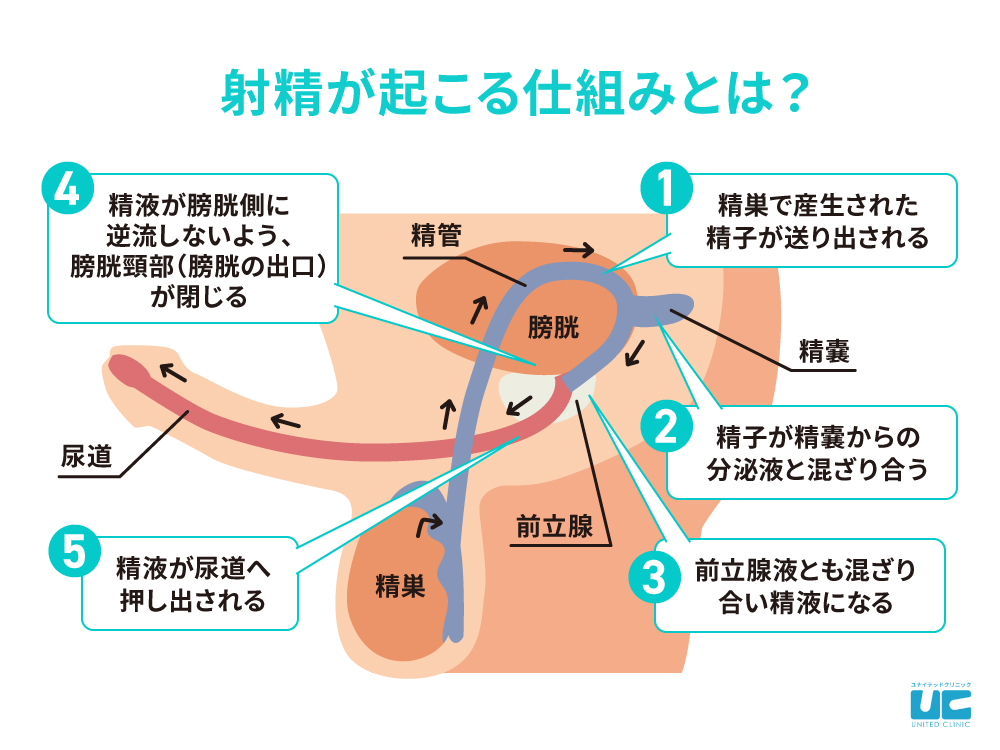 足ピンオナニーは危険って本当？やめたいときの改善方法も紹介 |【公式】ユナイテッドクリニック