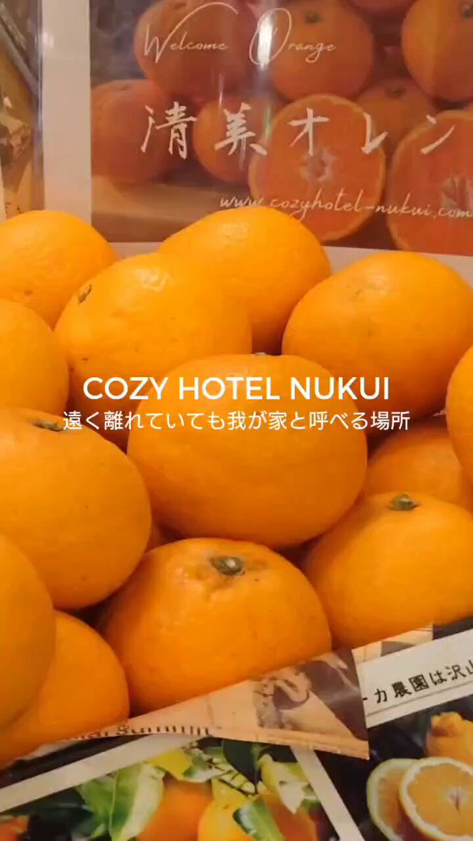 ＣＯＺＹ ＨＯＴＥＬ ＮＵＫＵＩ ｙａｗａｔａｈａｍａの宿泊予約｜格安・最安値【トラベルコ】