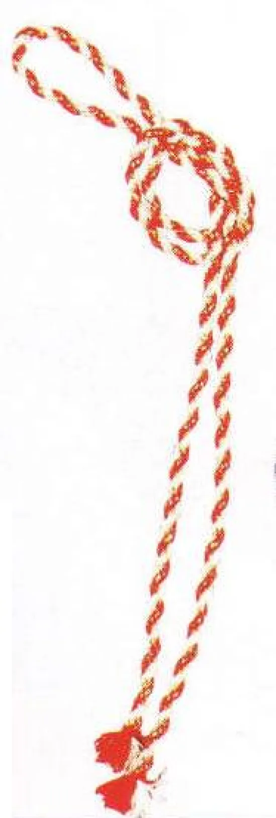 音楽 きただにひろし ONE PIECE COVER SONGS～仲間の印×～ 通常盤アニメイト