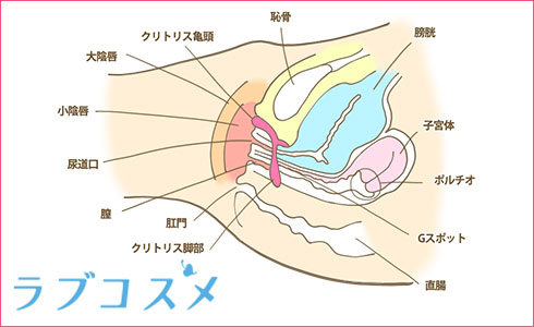 中イキしたくない人は見ちゃダメ！Gスポット集中刺激バイブで、中イキ経験者続出【快感スタイル】