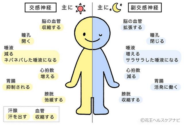 エステにかかる料金・費用の相場【平均はいくら？】 - ワムタイムズ