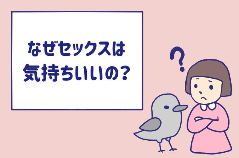 オタク友達とのセックスは最高に気持ちいい THE HOLE /