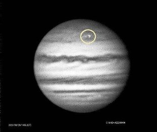 恐竜絶滅させた巨大隕石の衝突、春に発生か 火災や酸性雨などで繁殖期の生息環境悪化 : 読売新聞