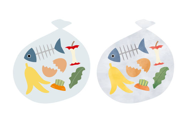 シンプルなタッチ 燃えるゴミと燃えないゴミのイラストレーション イラスト素材6945739- フォトライブラリ