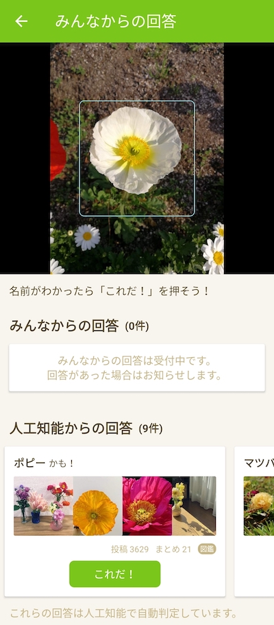 かざすだけで花の名前が分かる「ハナノナ」アプリを入れて散歩してみた！ いつものお散歩がぐっと素敵になるよ♪Pouch ポーチ