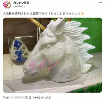 楽天市場 PS012 ピクトサイン CCTV 監視カメラ 作動中 防犯カメラ ルームサイン ドアサイン ドアプレート サイン 表札 室札 :SignJapan