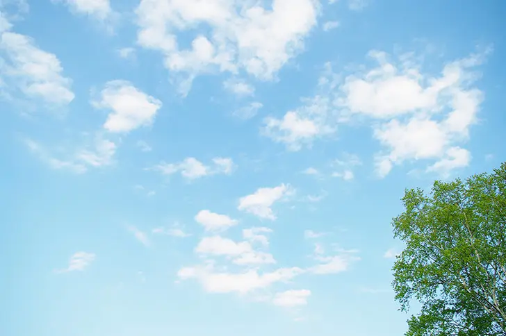 イラスト フリー素材まとめ 商用利用可！無料 イラストサイト 32選 - キナバル株式会社