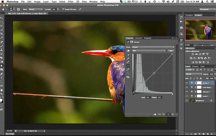 □Adobe Photoshop アドビ フォトショップ □カメラマンからマンガ家まで 趣味も仕事もバンフートレーニングスクール飯田橋校 飯田橋駅周辺 グッドスクール